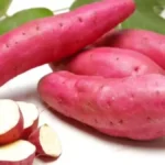 Sakkaravalli Kizhangu