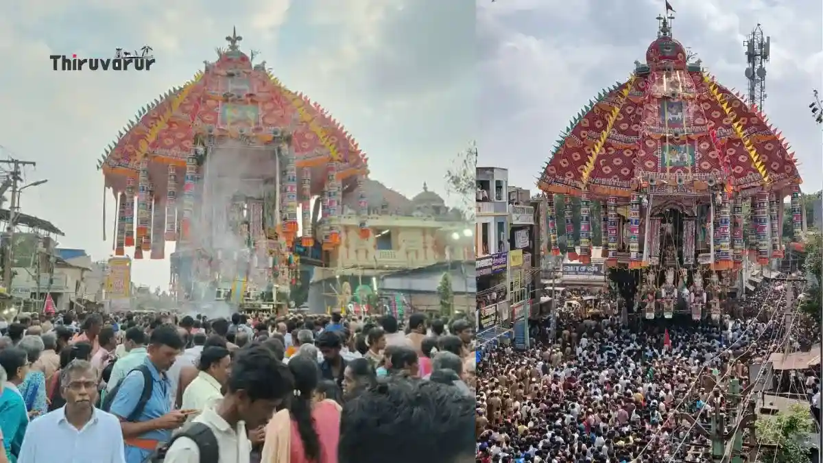 Chariot Devotees Pulling