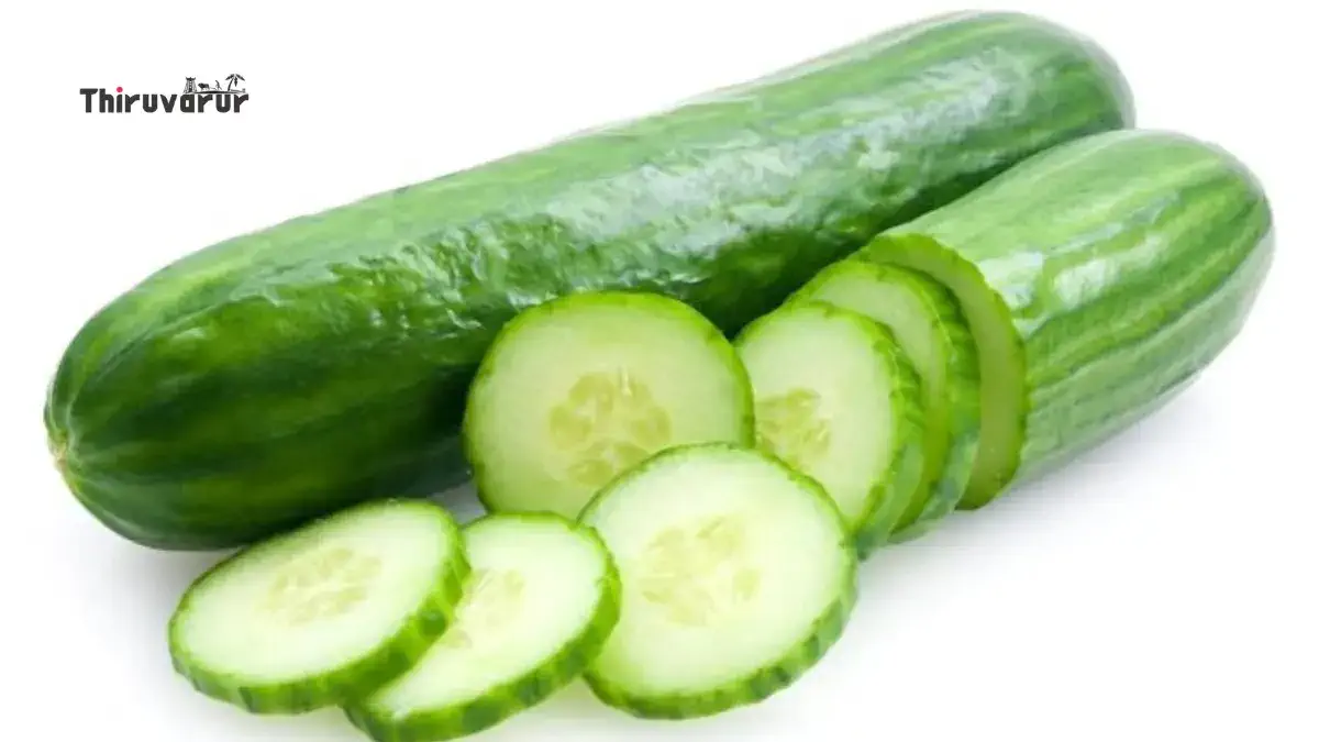 Cucumber-Reduce-Belly-Fat Thiruvarur, Tamil Nadu | திருவாரூர், தமிழ் நாடு