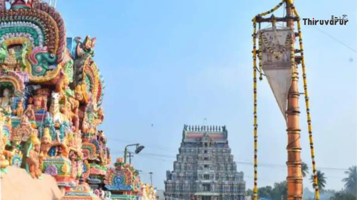 sri chandrasekhar pattautsavam