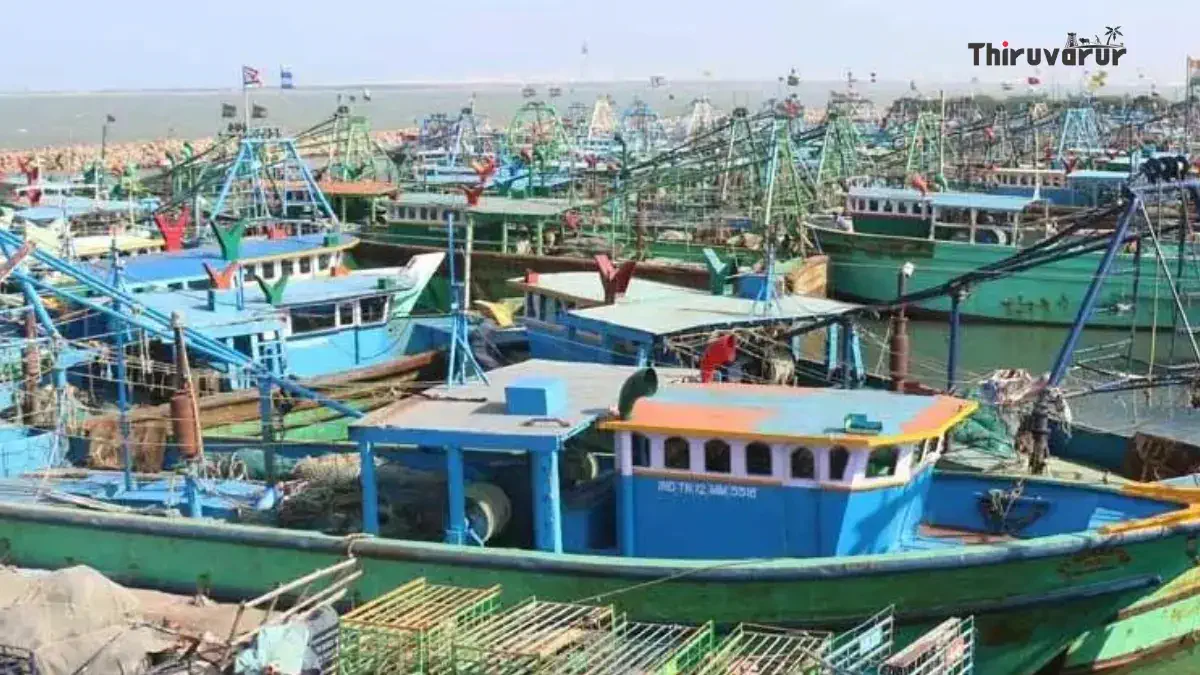 61-day-fishing-ban Thiruvarur, Tamil Nadu | திருவாரூர், தமிழ் நாடு