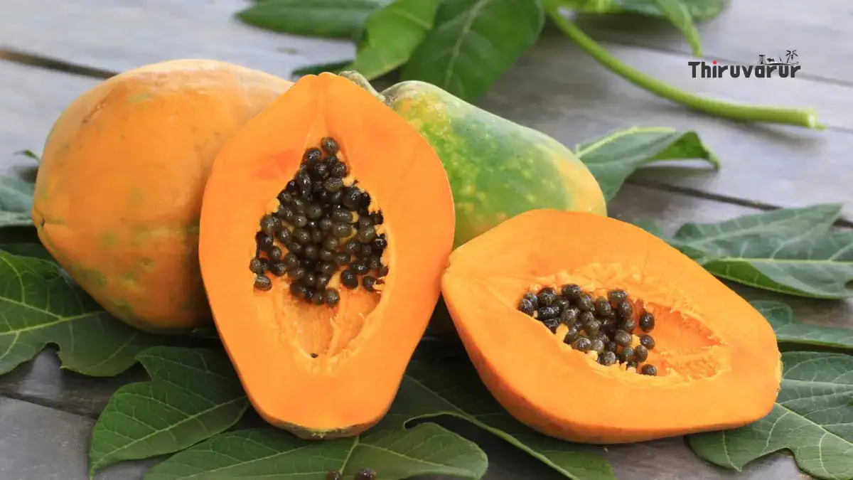 Benefits Eating Papaya Fruit