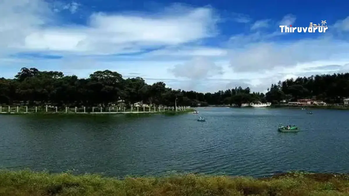 ஏற்காடு இவ்வளவு அழகா பார்த்தது உண்டா சுற்றுலா பயணிகள் மகிழ்ச்சி