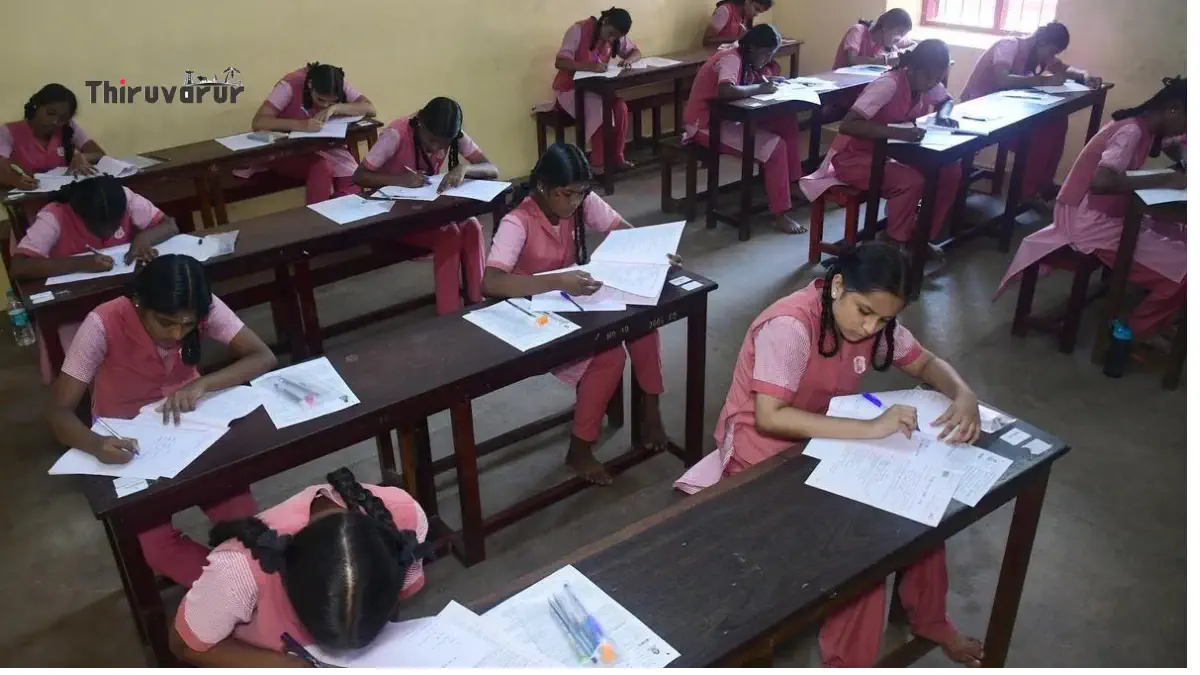 Half Yearly Exam 2024-2025