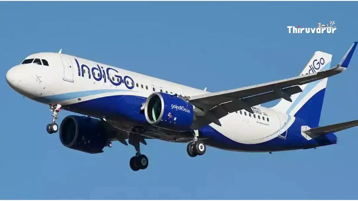 IndiGo flight services cancelled