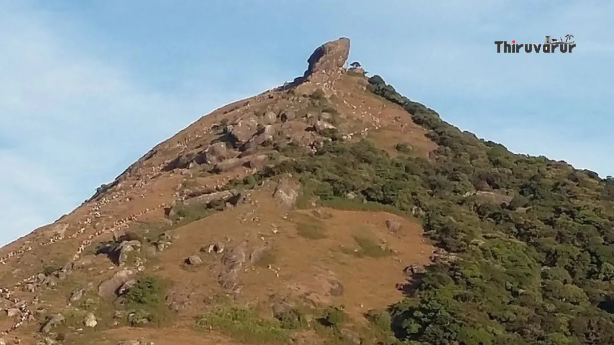 Covai Velliyangiri Hill