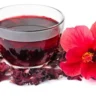 Hibiscus Tea Health Benefits
