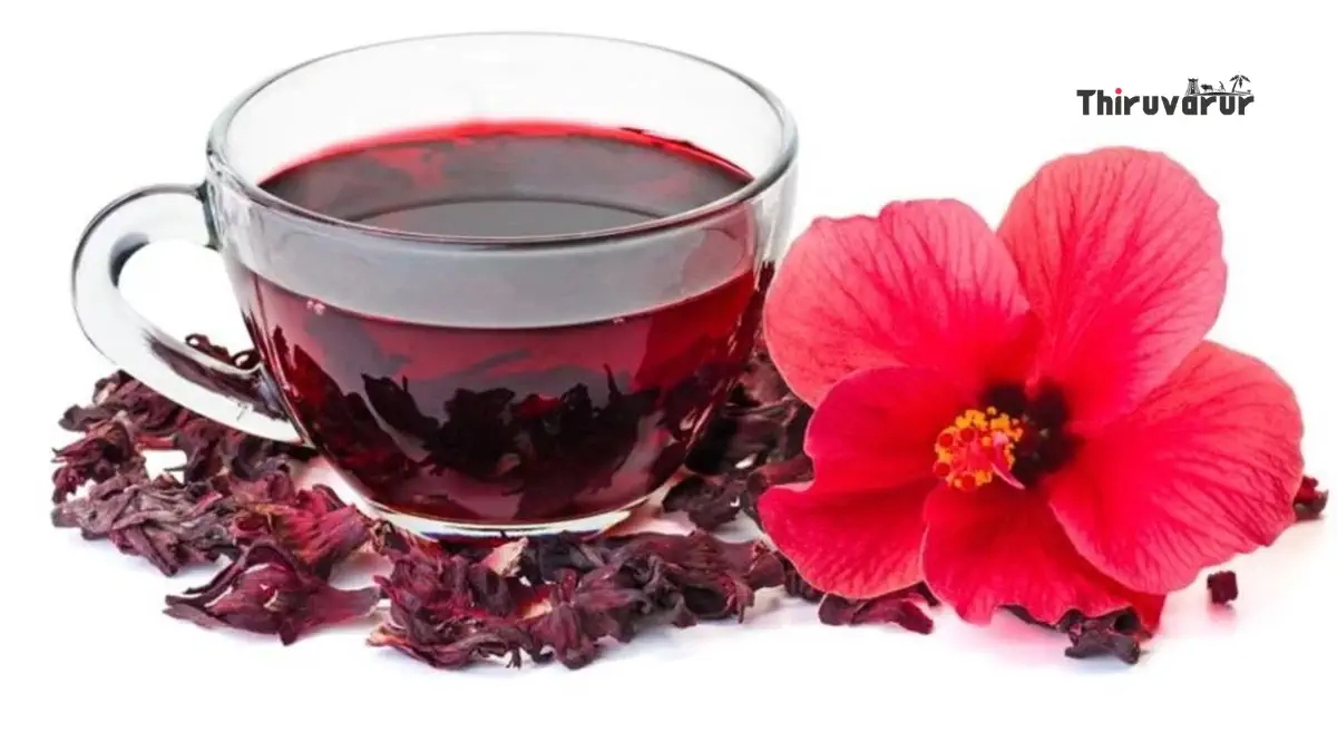 Hibiscus Tea Health Benefits